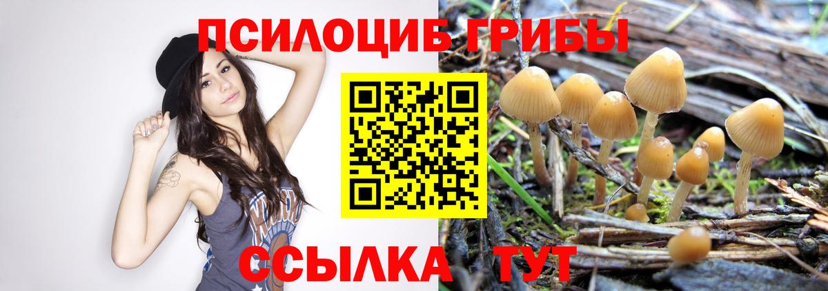 Галлюциногенные грибы Magic Shrooms Красный Сулин